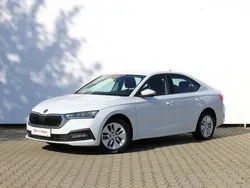Albnormal Utilizat 2021 Skoda Octavia Ambition | 22.900 EUR (Puțin scump)