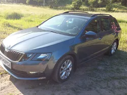 Gri Utilizat 2020 Skoda Octavia Break | 17.800 EUR (Puțin scump)