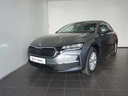 Gri mediu normal Nouă 2025 Skoda Octavia Selection | 26.000 EUR