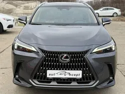 Culoaregri Utilizat 2024 Lexus NX350h E-FOUR Executive Line Berlinǎ | 54.329 EUR
