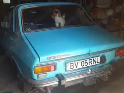 Utilizat 1980 Dacia 1300 Berlinǎ | 6.500 EUR
