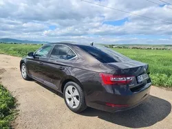 Maro Utilizat 2016 Skoda Superb Ambition Berlinǎ | 11.650 EUR (Preț bun)