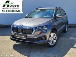 Gri Utilizat 2024 Skoda Karoq Selection SUV | 31.000 EUR (Puțin scump)
