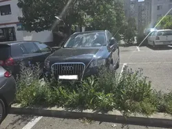 Utilizat 2013 Audi Q5 SUV | 8.000 EUR (Puțin scump)
