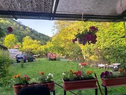 Utilizat 2002 VW Golf IV Berlinǎ | 500 EUR (Preț bun)