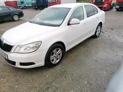 Utilizat 2012 Skoda Octavia Berlinǎ | 3.500 EUR (Super Preț)