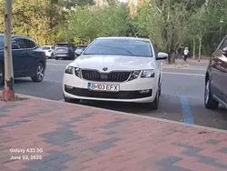 Alb Utilizat 2019 Skoda Octavia Berlinǎ | 13.000 EUR (Preț OK)