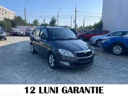 Gri Utilizat 2011 Skoda Fabia GreenLine Break | 4.150 EUR (Puțin scump)