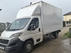 Alb Utilizat 2016 Fiat Ducato Van | 7.500 EUR