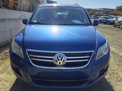 Albastru Utilizat 2009 VW Tiguan SUV | 6.300 EUR (Preț OK)