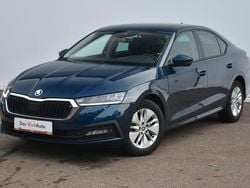 Albastru mediu normal Utilizat 2020 Skoda Octavia Ambition | 19.990 EUR (Preț OK)
