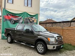 Maro Utilizat 2010 Ford F-150 Pickup | 12.300 EUR