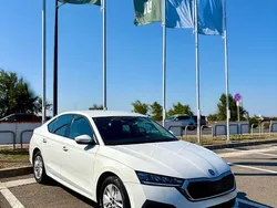 Culoarealb Utilizat 2021 Skoda Octavia Ambition Berlinǎ | 13.300 EUR (Preț bun)