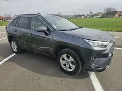 Utilizat 2019 Toyota RAV4 Hybrid SUV | 23.399 EUR (Preț OK)