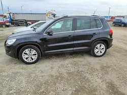 Negru Utilizat 2011 VW Tiguan SUV | 8.300 EUR (Preț OK)
