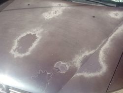 Albastru Utilizat 1996 Opel Vectra Hatchback | 700 EUR