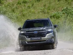 Alb Nouă 2025 Subaru Forester SUV | 36.850 EUR