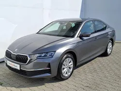 Gri mediumetalic Utilizat 2024 Skoda Octavia Selection Berlinǎ | 23.250 EUR (Preț OK)