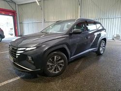 Negru Utilizat 2023 Hyundai Tucson SUV | 23.900 EUR