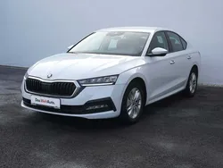 Albnormal Utilizat 2021 Skoda Octavia Ambition | 15.800 EUR (Preț bun)