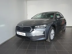 Gri mediu normal Nouă 2025 Skoda Octavia Selection | 26.000 EUR (Preț bun)