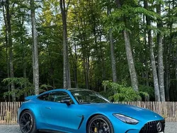 Albastru Utilizat 2024 Mercedes AMG GT R AMG Coupe | 183.900 EUR