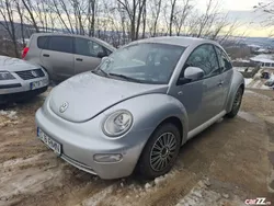 VW Beetle