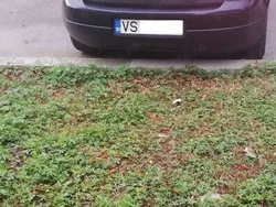 Utilizat 2006 VW Golf V Hatchback | 2.450 EUR (Preț OK)