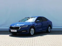 Albastru mediu normal Utilizat 2024 Skoda Octavia Ambition Berlinǎ | 24.900 EUR (Puțin scump)