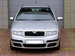Argintiu Utilizat 2005 Skoda Fabia Berlinǎ | 3.200 EUR