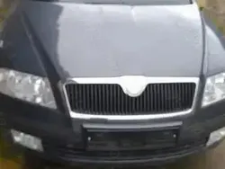 Gri Utilizat 2007 Skoda Octavia Berlinǎ | 3.590 EUR (Preț OK)