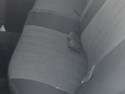 Utilizat 1982 Mercedes 240 Berlinǎ | 7.000 EUR