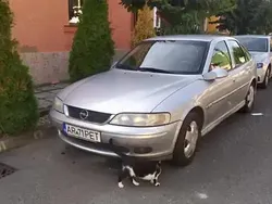 Utilizat 2001 Opel Vectra Hatchback | 1.300 EUR (Preț OK)