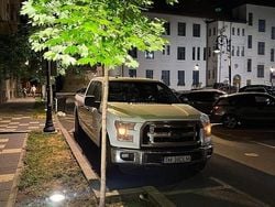 Alb Utilizat 2016 Ford F-150 Pickup | 25.500 EUR