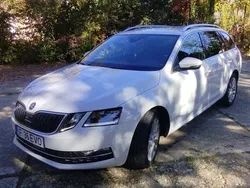 Utilizat 2019 Skoda Octavia Break | 13.750 EUR (Puțin scump)