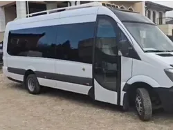 Alb Utilizat 2015 Mercedes Sprinter Van | 28.900 EUR