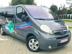 Gri Utilizat 2014 Opel Vivaro Van | 11.499 EUR (Puțin scump)