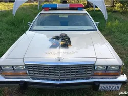 Bej Utilizat 1984 Ford Crown Victoria Berlinǎ | 7.600 EUR