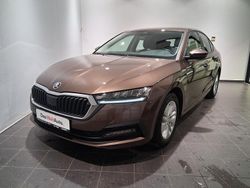 Maro mediu normal Utilizat 2020 Skoda Octavia Ambition | 17.500 EUR (Preț OK)