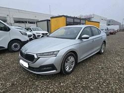 Gri Utilizat 2020 Skoda Octavia Berlinǎ | 12.950 EUR (Super Preț)