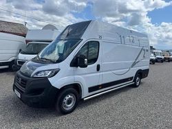Alb Utilizat 2022 Fiat Ducato Van | 16.550 EUR (Scump)