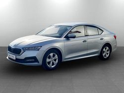 Gri deschis normal Utilizat 2020 Skoda Octavia Business Line Berlinǎ | 17.500 EUR (Preț OK)