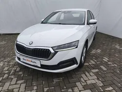 Culoarealb Utilizat 2021 Skoda Octavia Ambition Berlinǎ | 16.973 EUR (Preț OK)