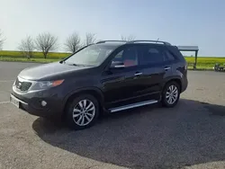 Utilizat 2013 Kia Sorento SUV | 8.801 EUR