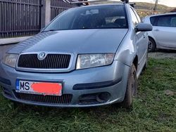Gri Utilizat 2005 Skoda Fabia Hatchback | 3.300 EUR (Scump)