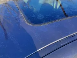 Maro Utilizat 2005 BMW 320 Berlinǎ | 2.500 EUR (Preț bun)