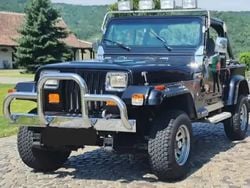 Utilizat 1991 Jeep Wrangler SUV | 10.000 EUR