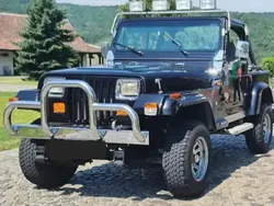 Utilizat 1991 Jeep Wrangler SUV | 10.000 EUR