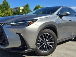 Gri Utilizat 2022 Lexus NX450h+ E-FOUR Luxury Line SUV | 47.600 EUR