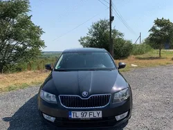 Negru Utilizat 2016 Skoda Octavia Joy Berlinǎ | 8.800 EUR (Preț OK)